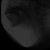 454813.png